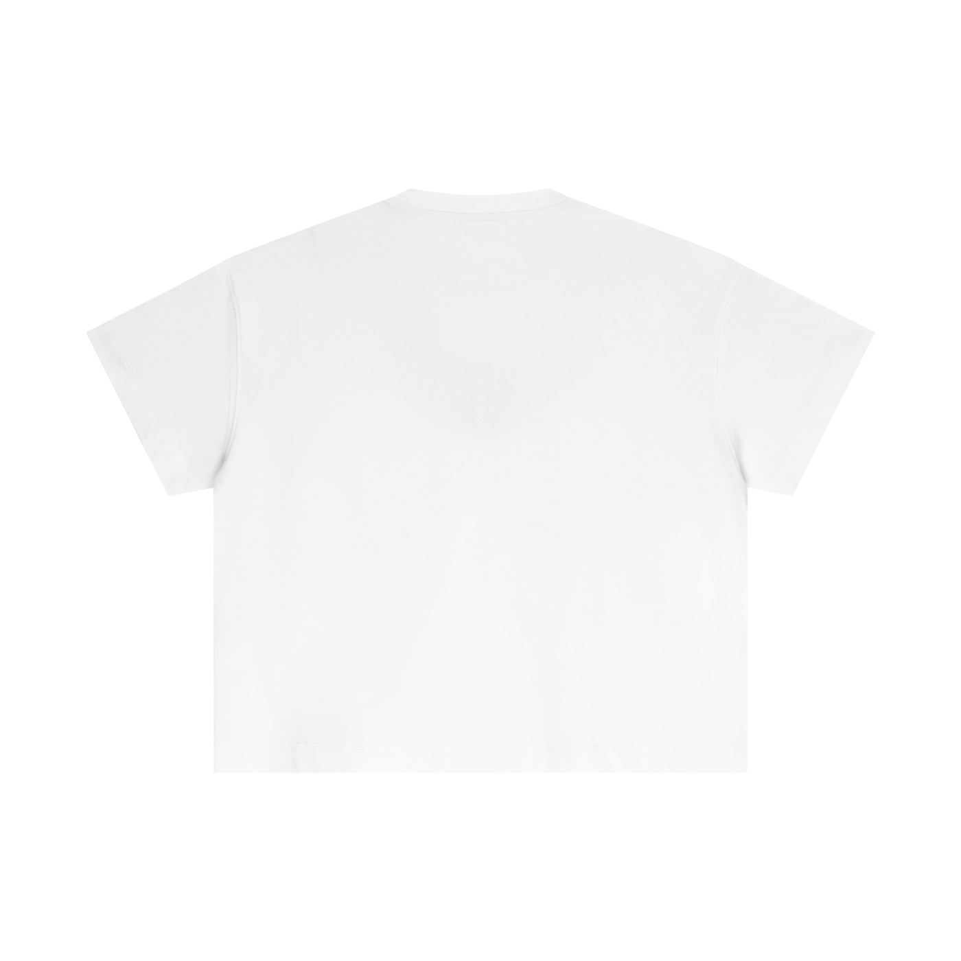 Prickly! Boxy Tee by Howdy Partner
