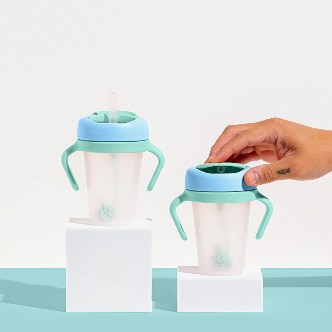 Sippy Cup 2-pack with Weighted Straw