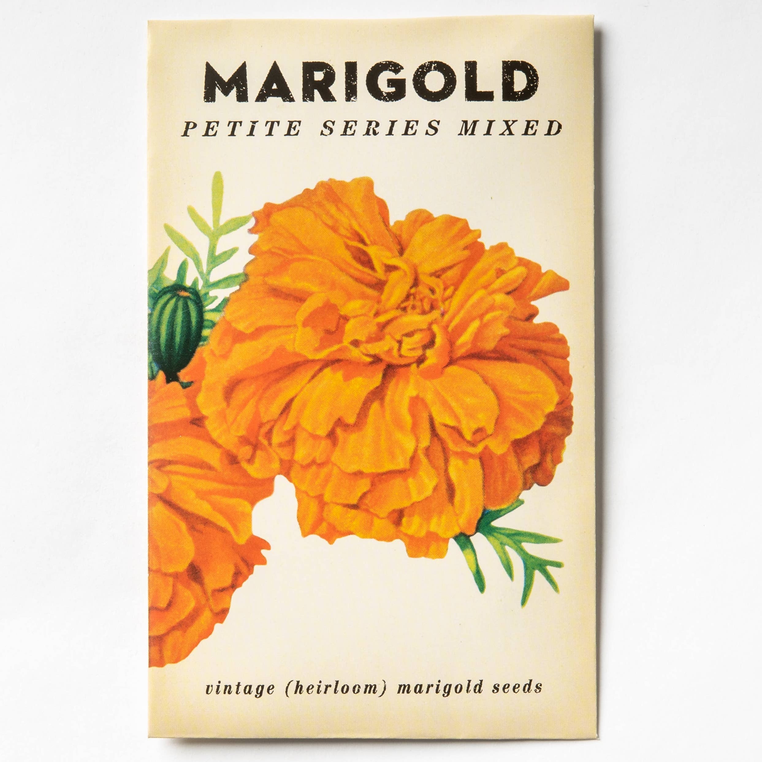 Marigold "Petit Series Mixed" Heirloom Seeds