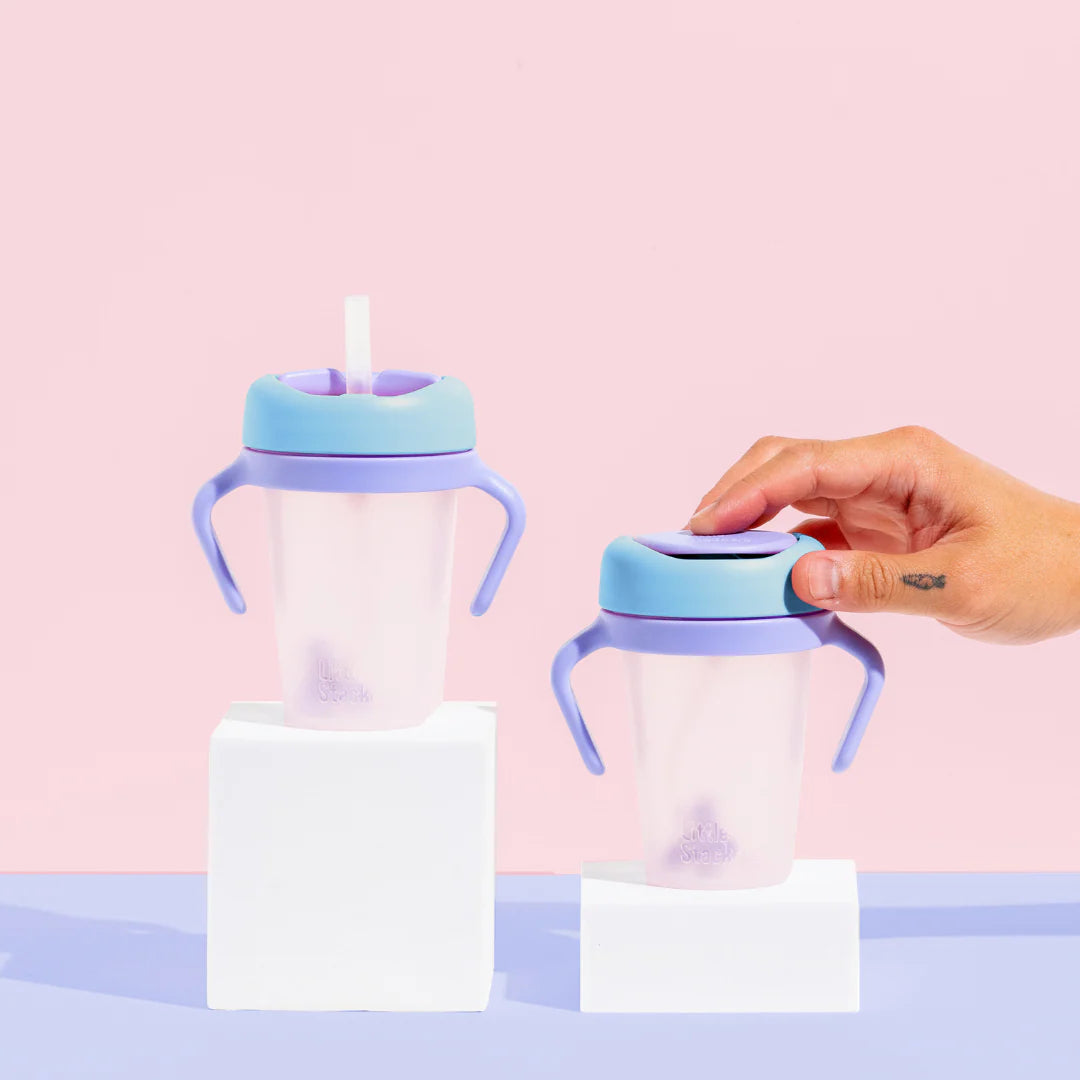 Sippy Cup 2-pack with Weighted Straw