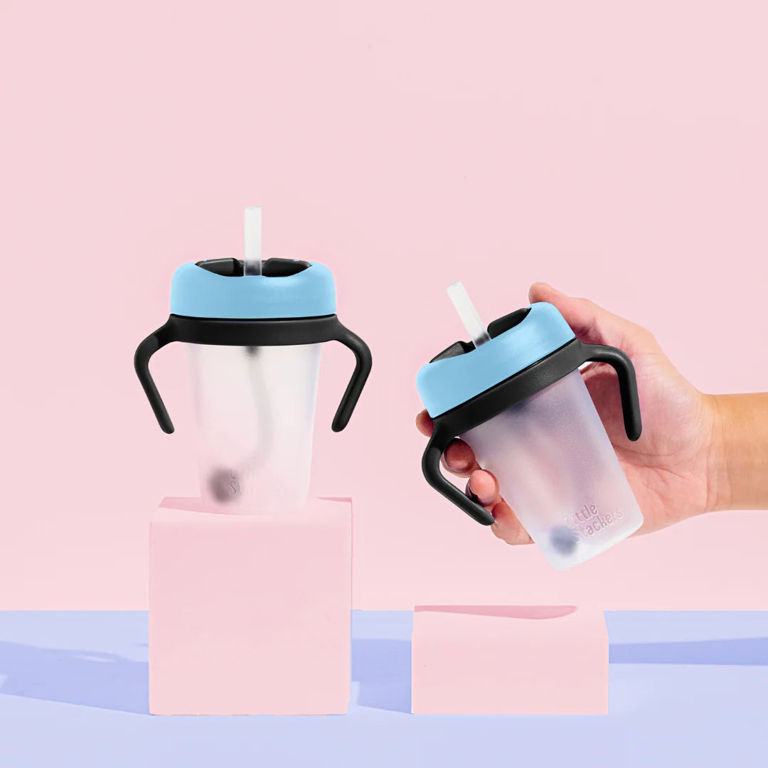 Sippy Cup 2-pack with Weighted Straw