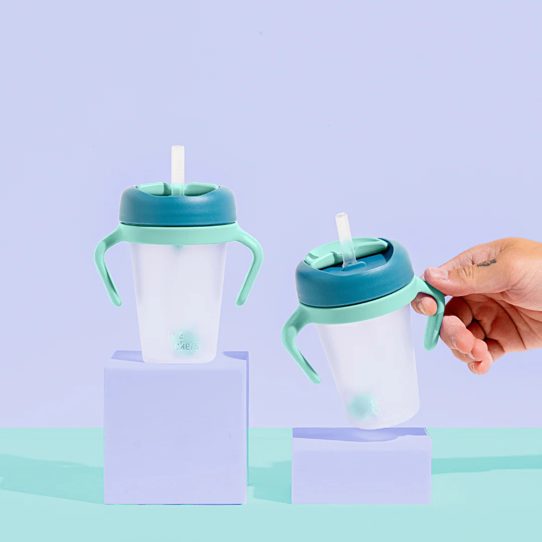 Sippy Cup 2-pack with Weighted Straw