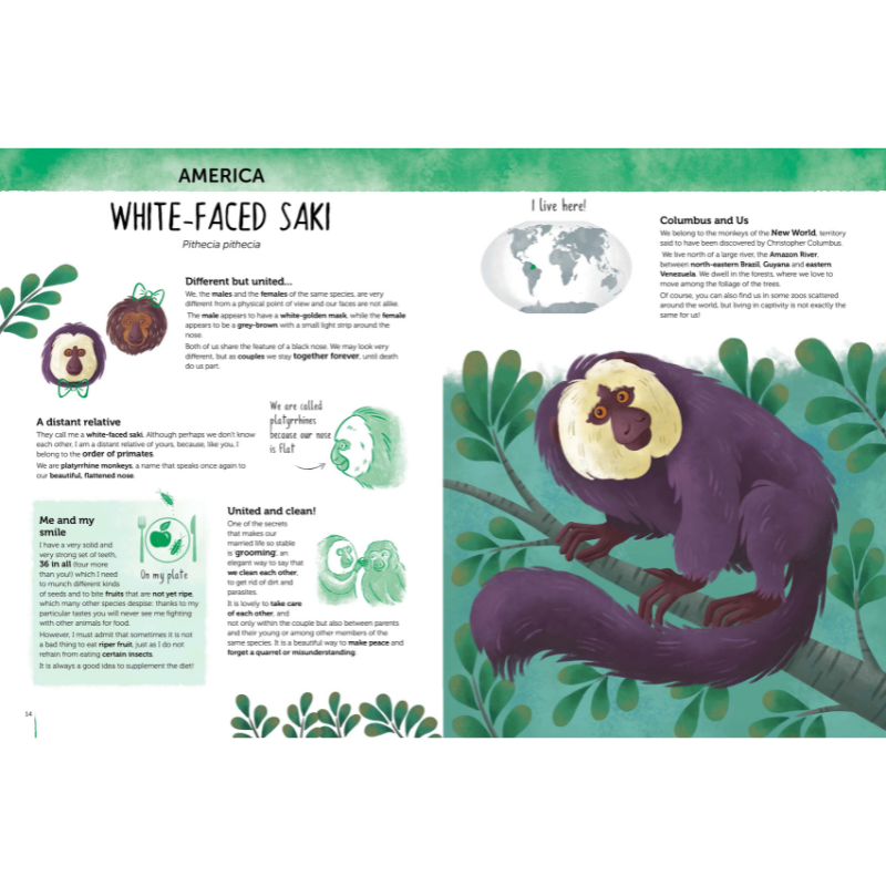 Sassi Atlas of Biodiversity - Curious and Unusual Animals