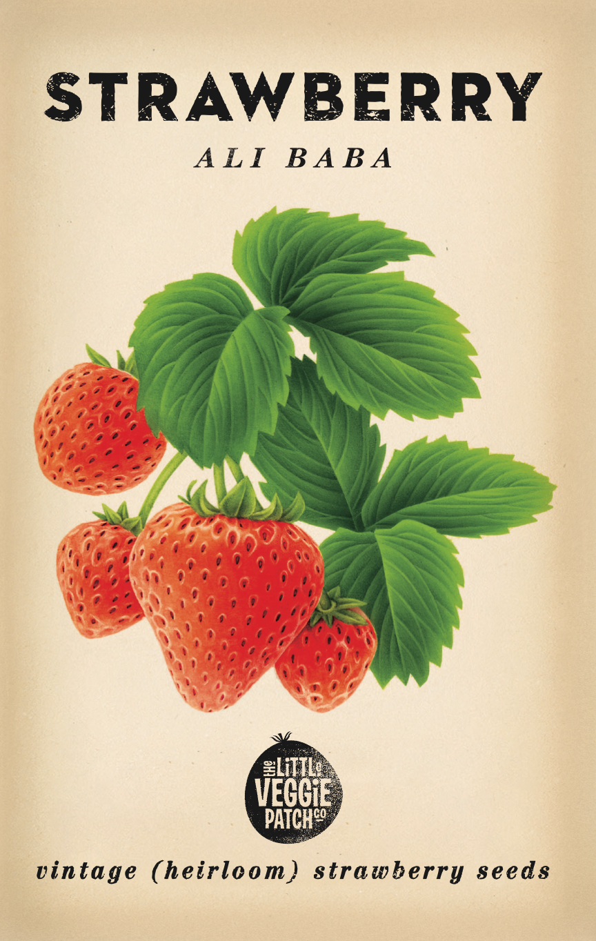Strawberry 'Ali Baba' Heirloom Seeds