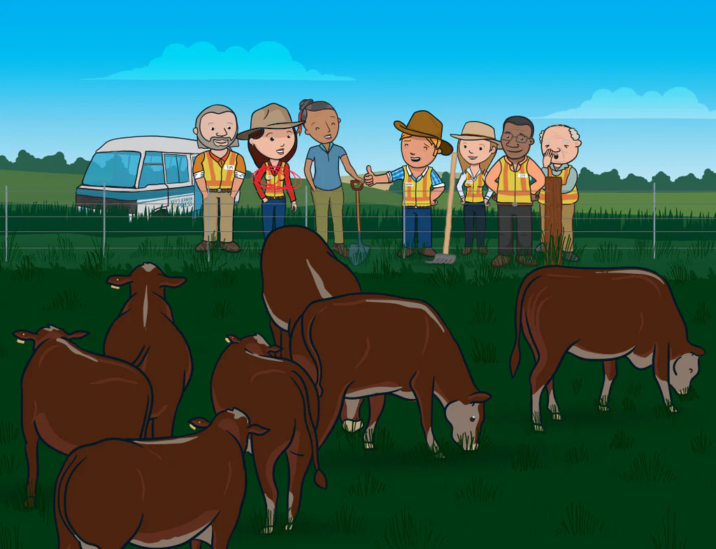 The Island of Big Ideas Book