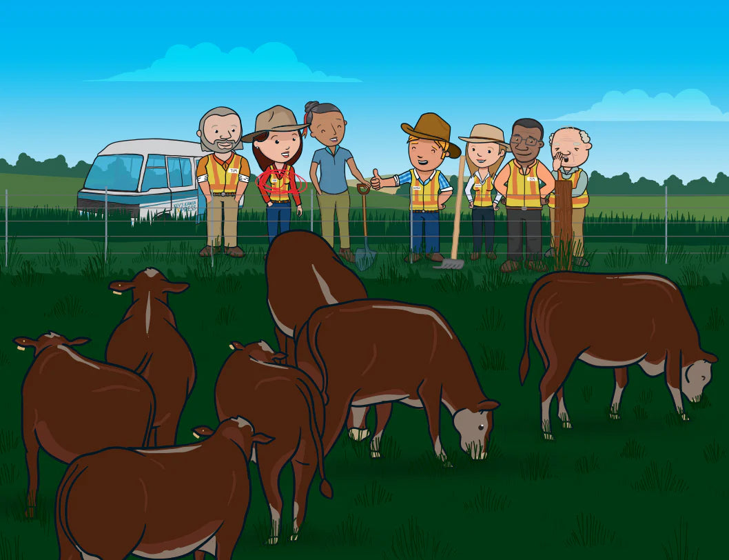 The Island of Big Ideas Book