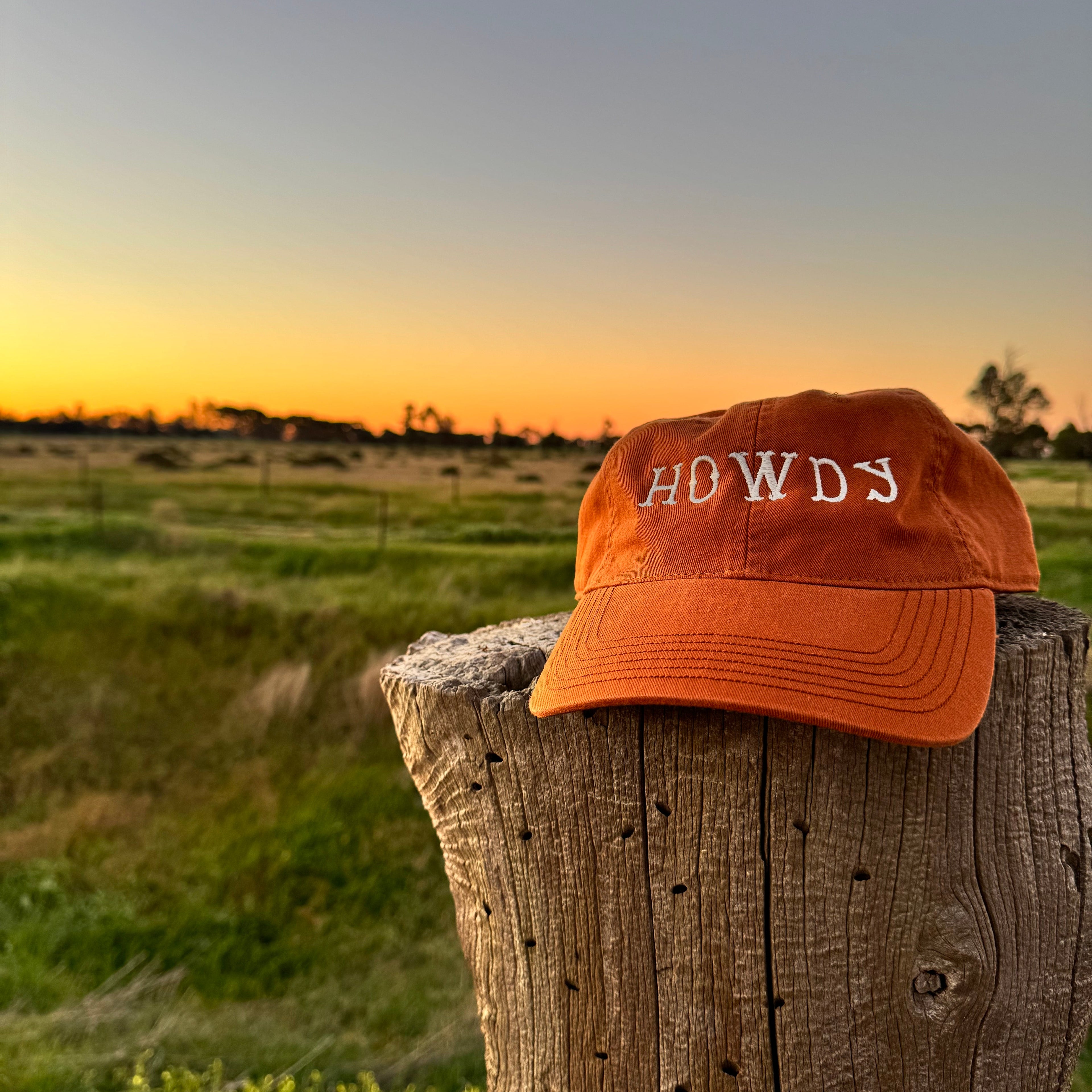 Open Gate Dad Cap - Rust