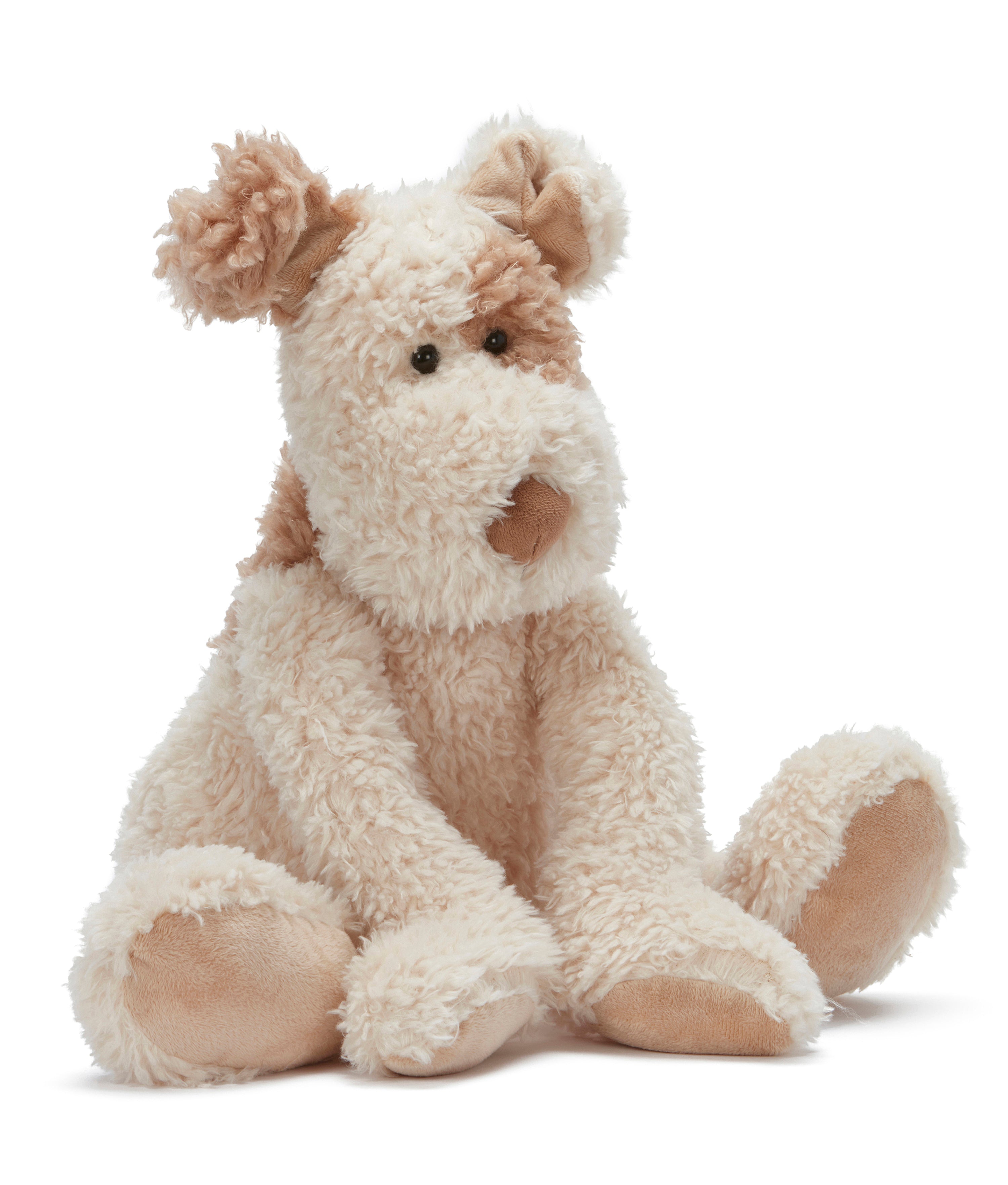 Buddy the Dog