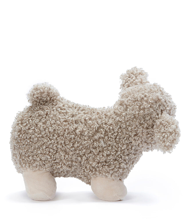 Charlotte the Sheep