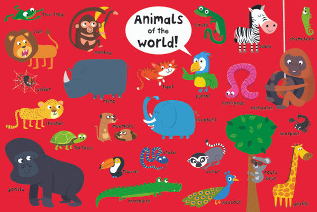 Enormous Book of Everything