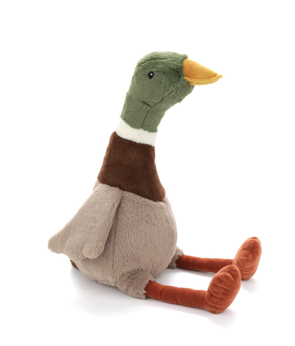 Hugo the Mallard Duck