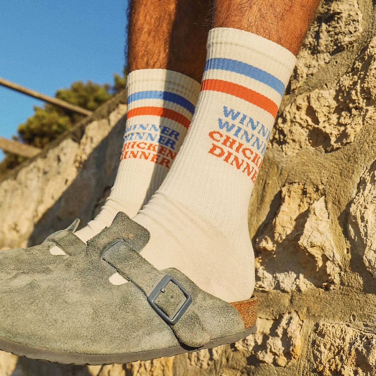 Chicken Dinner Socks in Multi Stripe