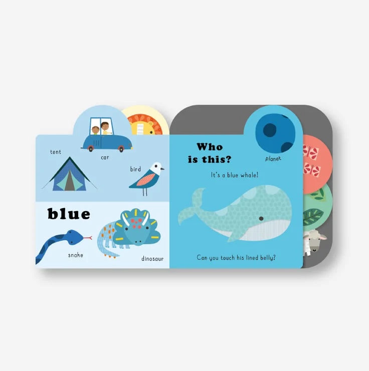 Touchy Feelies Book - Colours